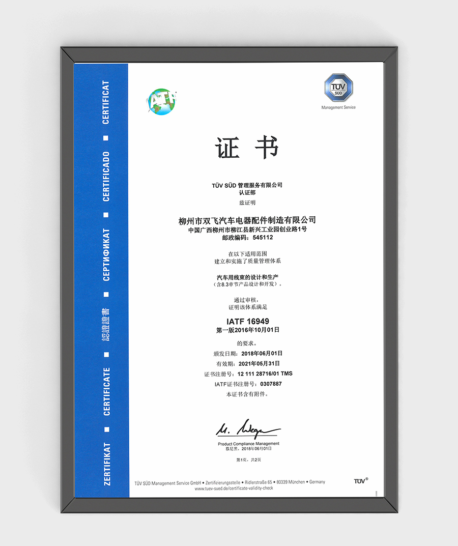 技術(shù)資質(zhì)證書(shū)
